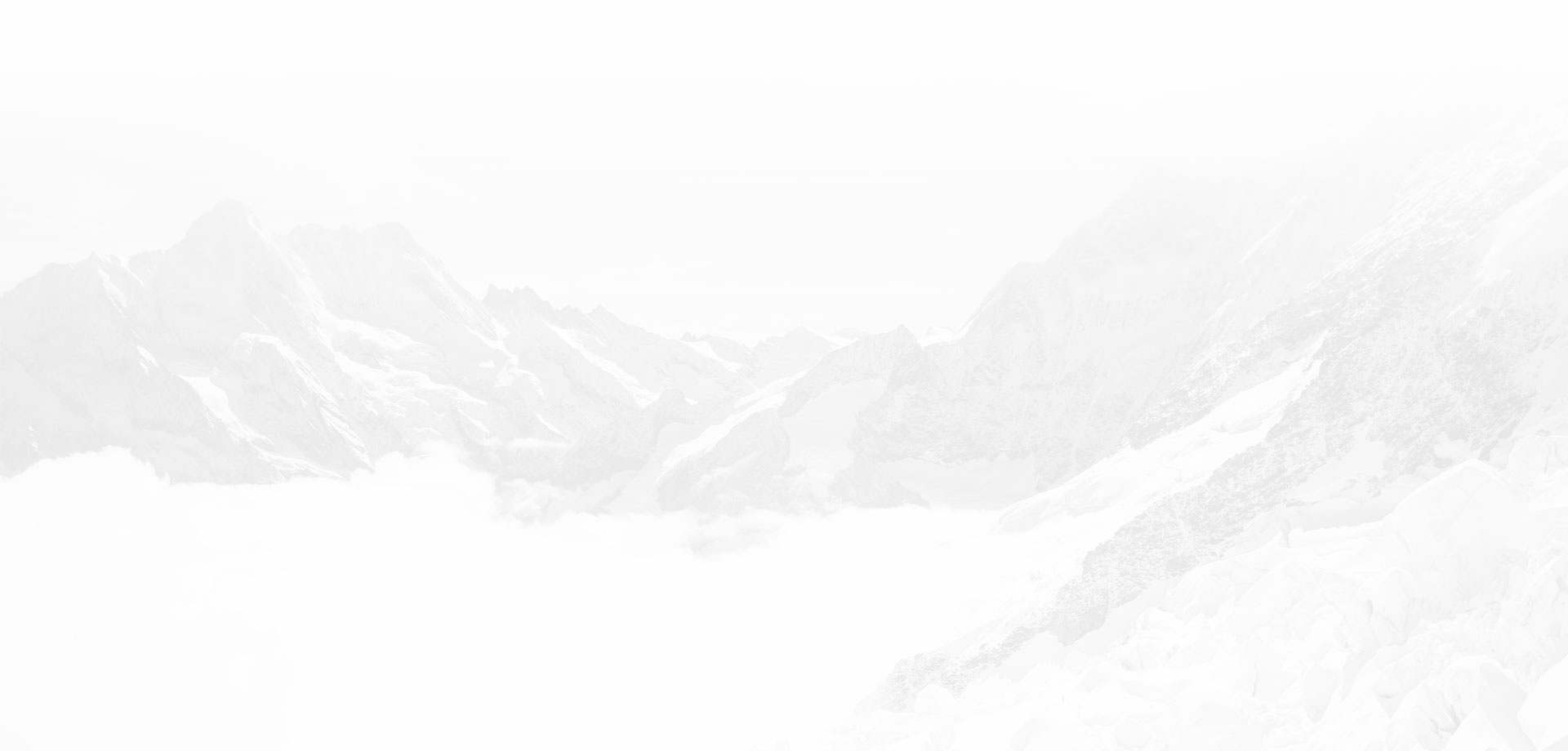 諾碼防偽標(biāo)簽